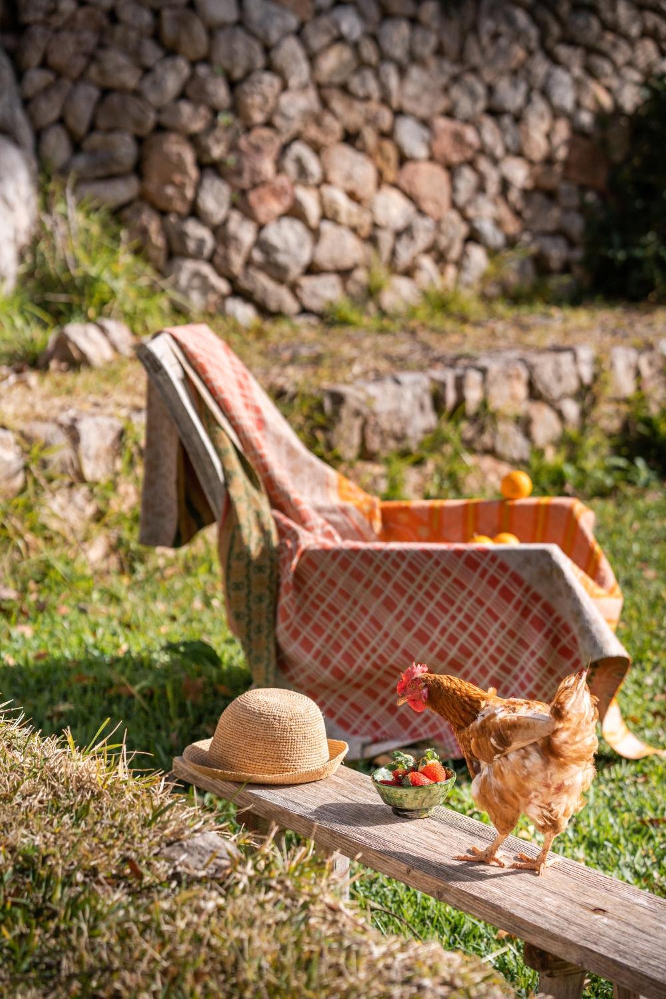 Agroturismo Son Viscos Valldemossa  Exterior photo