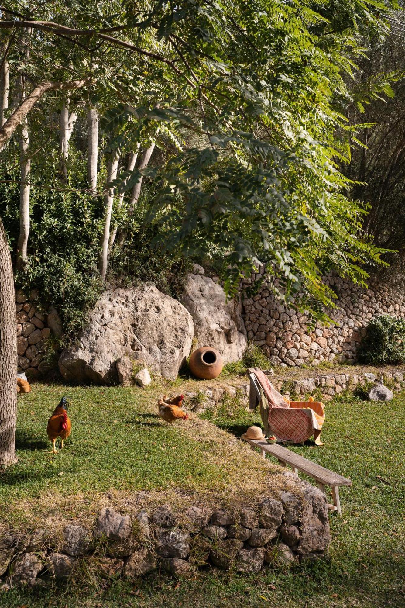 Agroturismo Son Viscos Valldemossa  Exterior photo